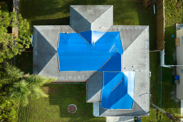 Best Roof Moss and Algae Removal  in Washington, UT